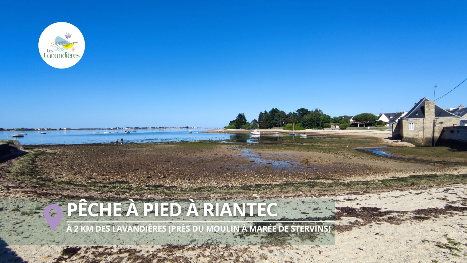 Faire de la pêche à pied à Riantec