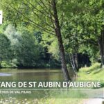 L'étang de Saint-Aubin-d'Aubigné