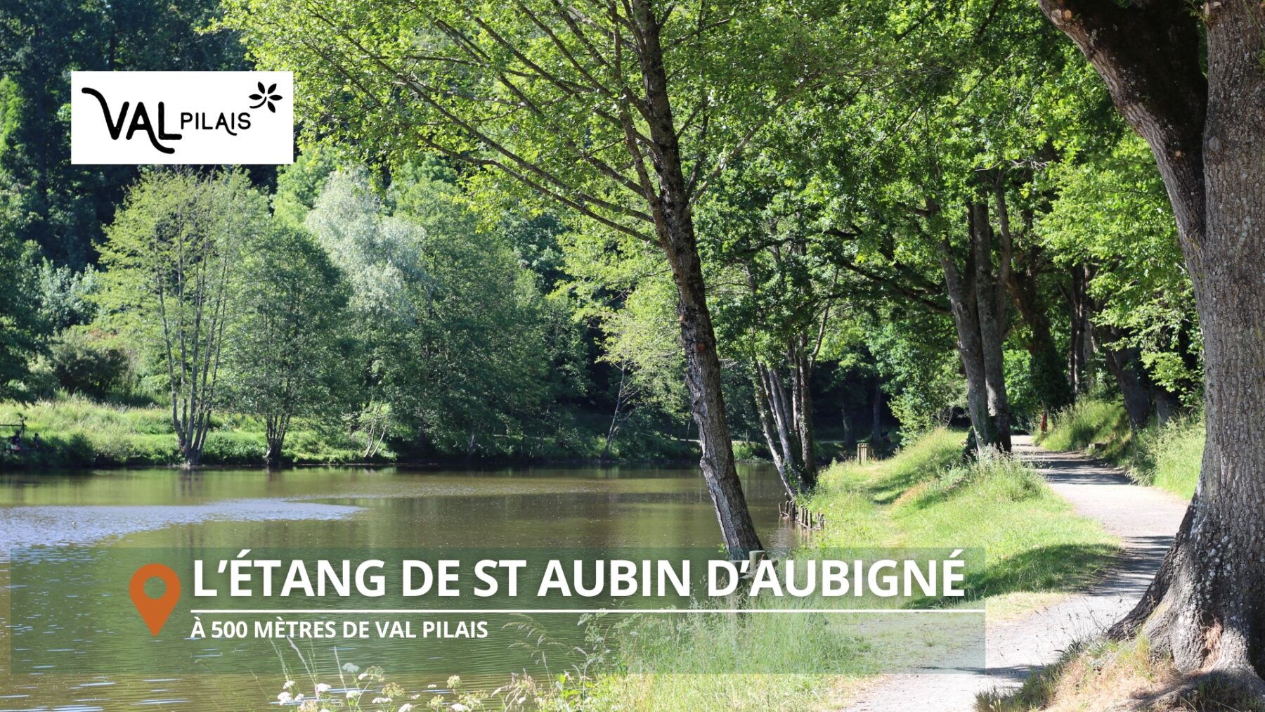 L'étang de Saint-Aubin-d'Aubigné